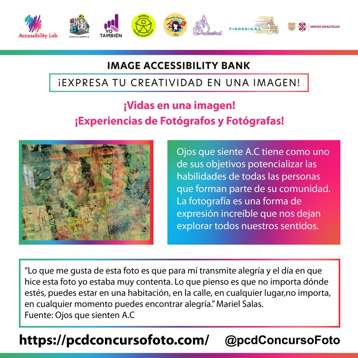 PcdConcursoFoto tweet media
