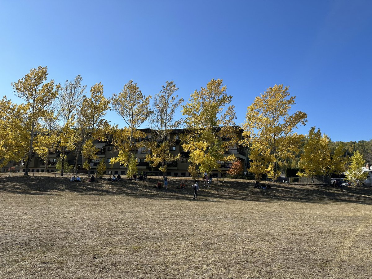 Enjoying the beautiful auntumn afternoon with some outside learning @erinbarker84 ❤️💙