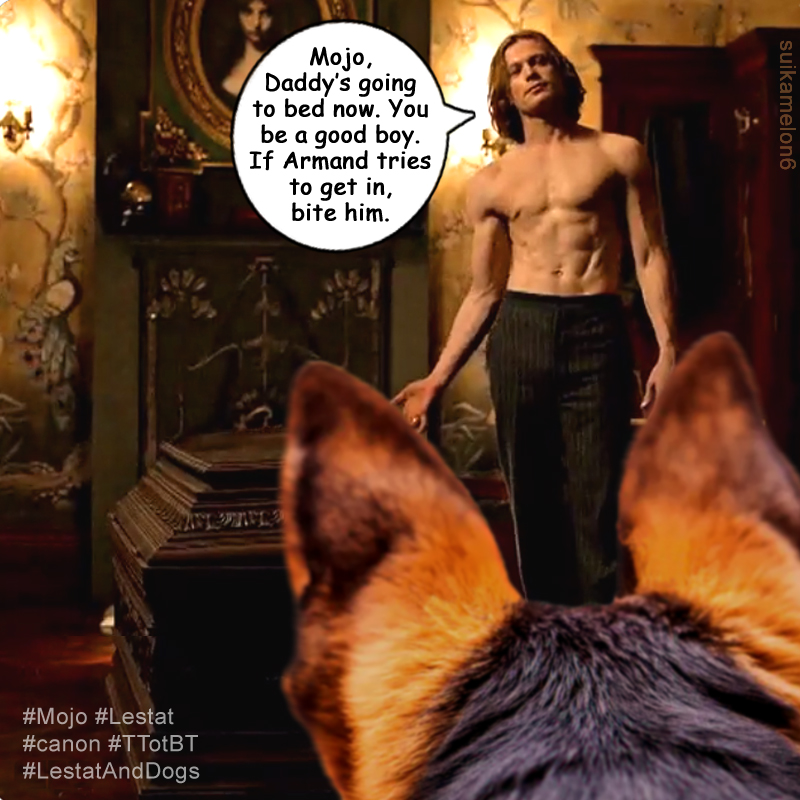 suikamelon6's tweet photo. "I had to train him to become the vampire's dog. Indeed, I had visions of him guarding my coffin during daylight hours - an Egyptian style sentinel..." - #Lestat' s vision about #Mojo, #TTotBT
#canon #InterviewWithTheVampire #amciwtv #WeLoveMojo #VampireDog https://t.co/EPPjkmDInP