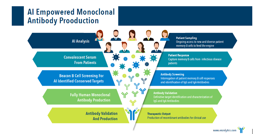 drgauravchandra's tweet photo. @TheMattOMalley More information will be available on our website being launched this month: https://t.co/6lz7neYkQu. The following infographic explains this. Our press releases and filings have disclosed this as well. #ENZC https://t.co/vTIdmYUKNR