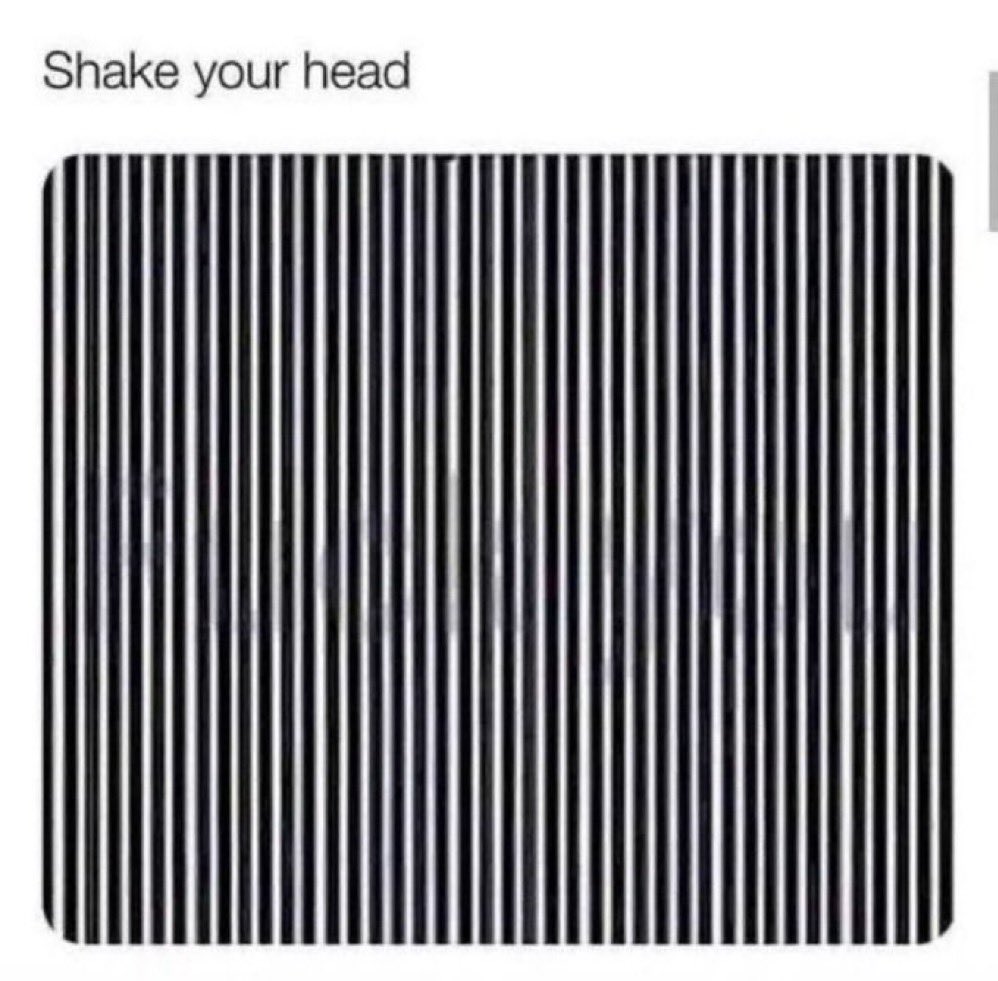 Not Elon Musk tweet media