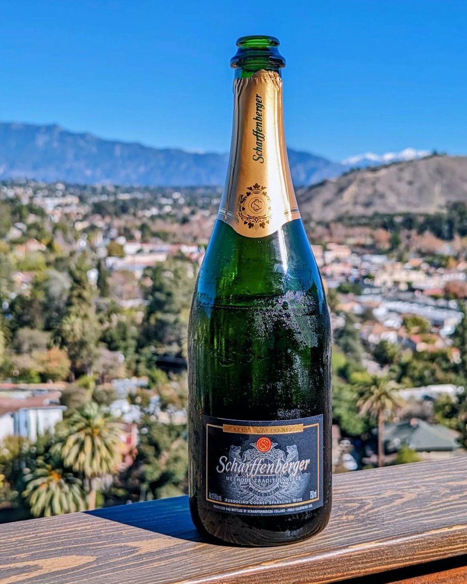 Here's to the girls who turn ordinary nights into unforgettable memories! Who's your go-to squad for a perfect #NationalGirlsNight? 🥂

📸 @hautesomm