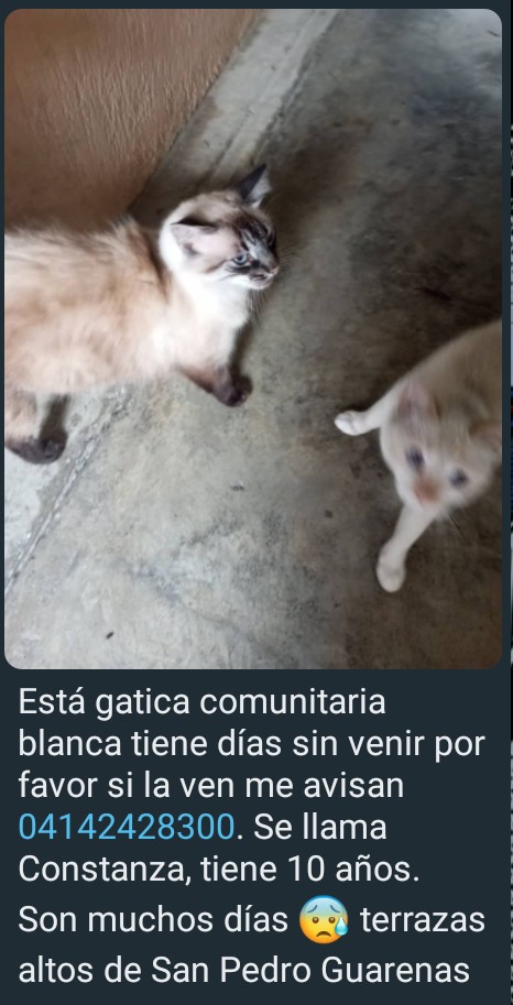 Zona Guarenas, Guatire ✌️🙏😺