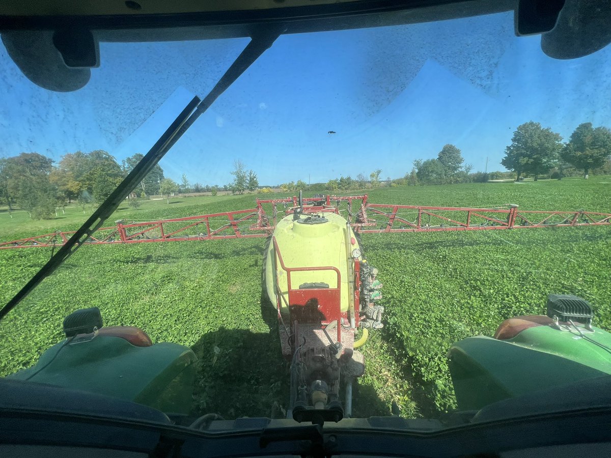 First time growing red clover as a cover crop in wheat stubble. Turned out awesome!! #ontag