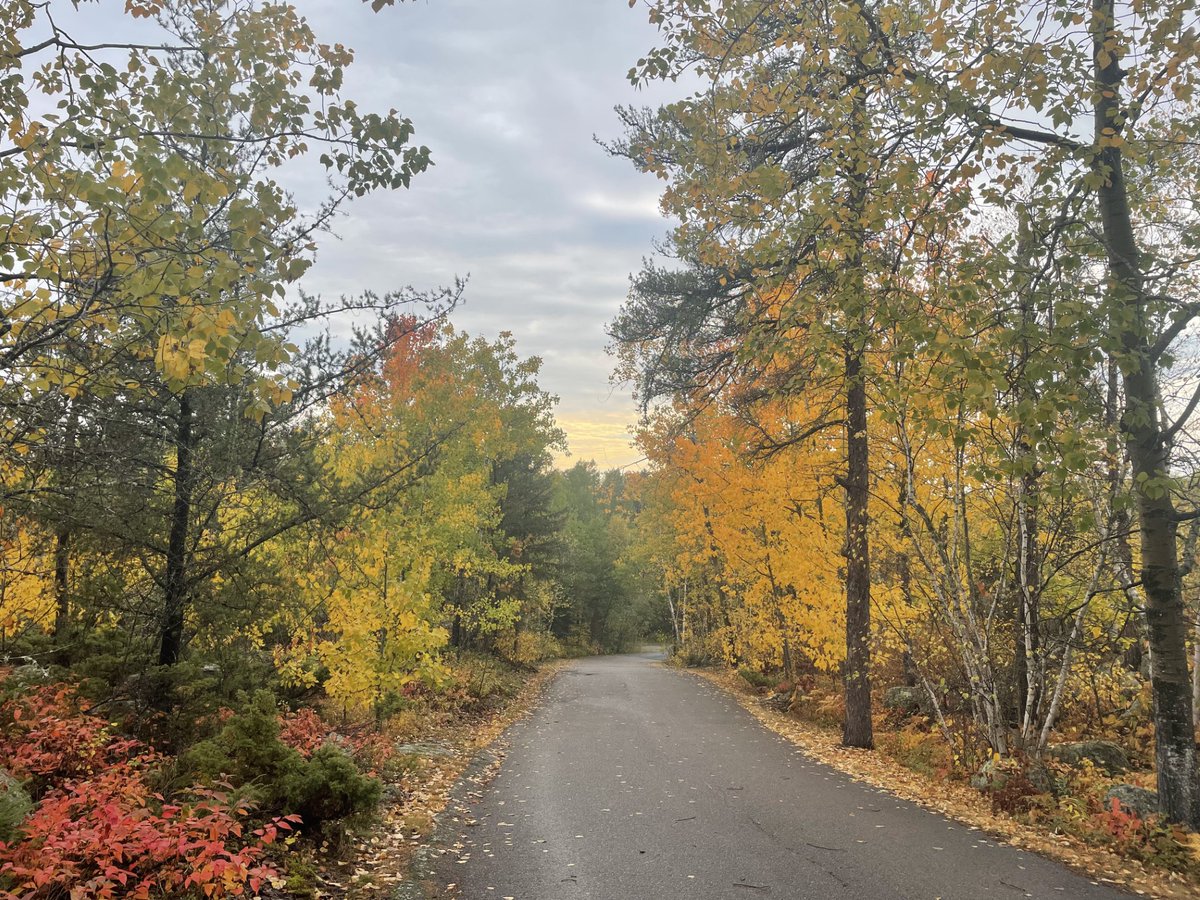 Rushing River PP tweet media