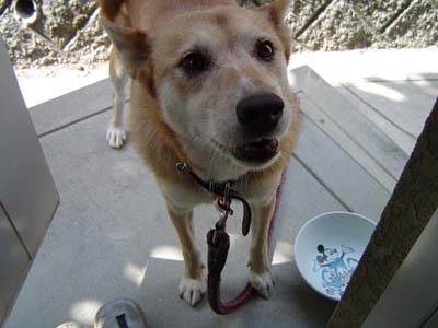 masterflat_mk2's tweet image. 