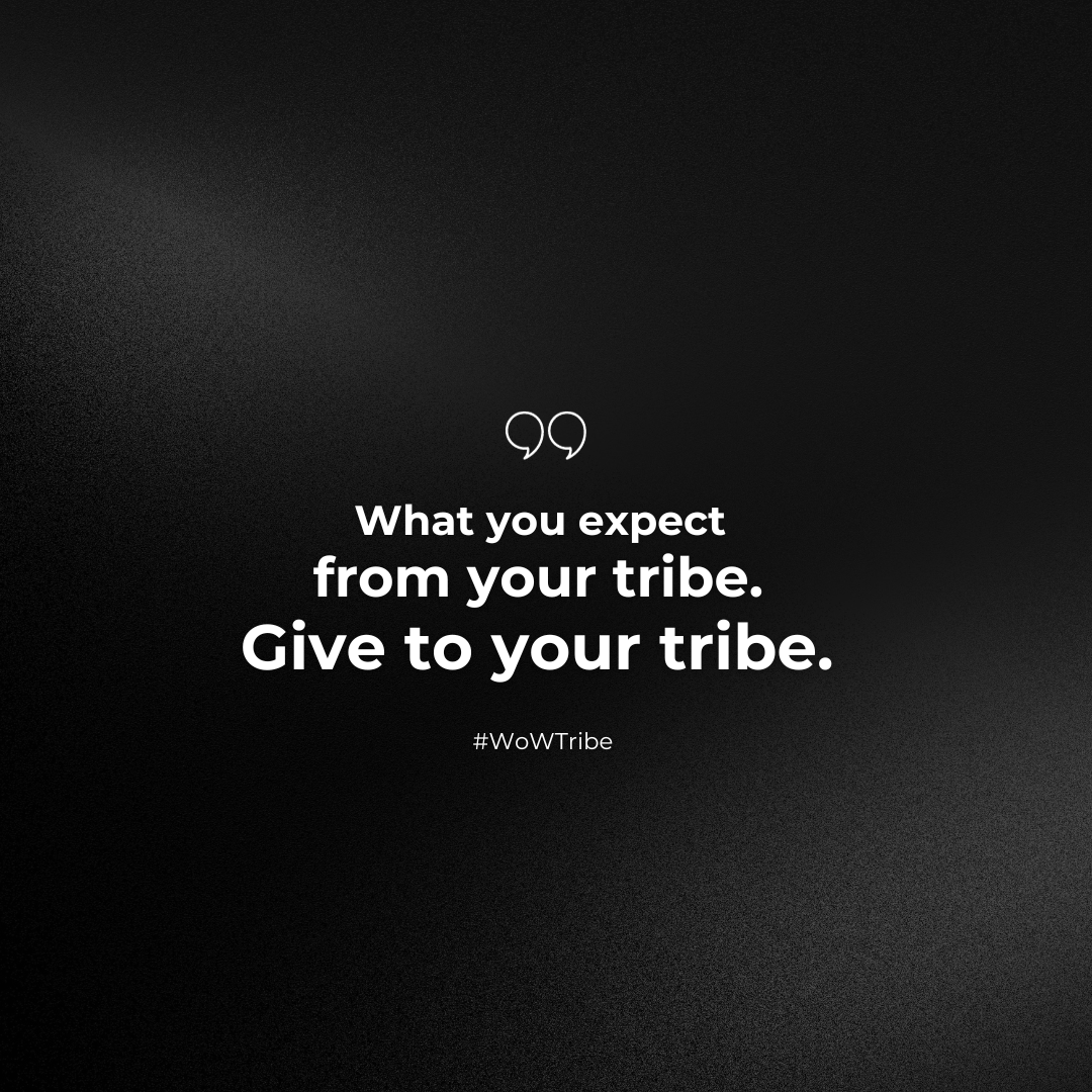 WoWTribe tweet media