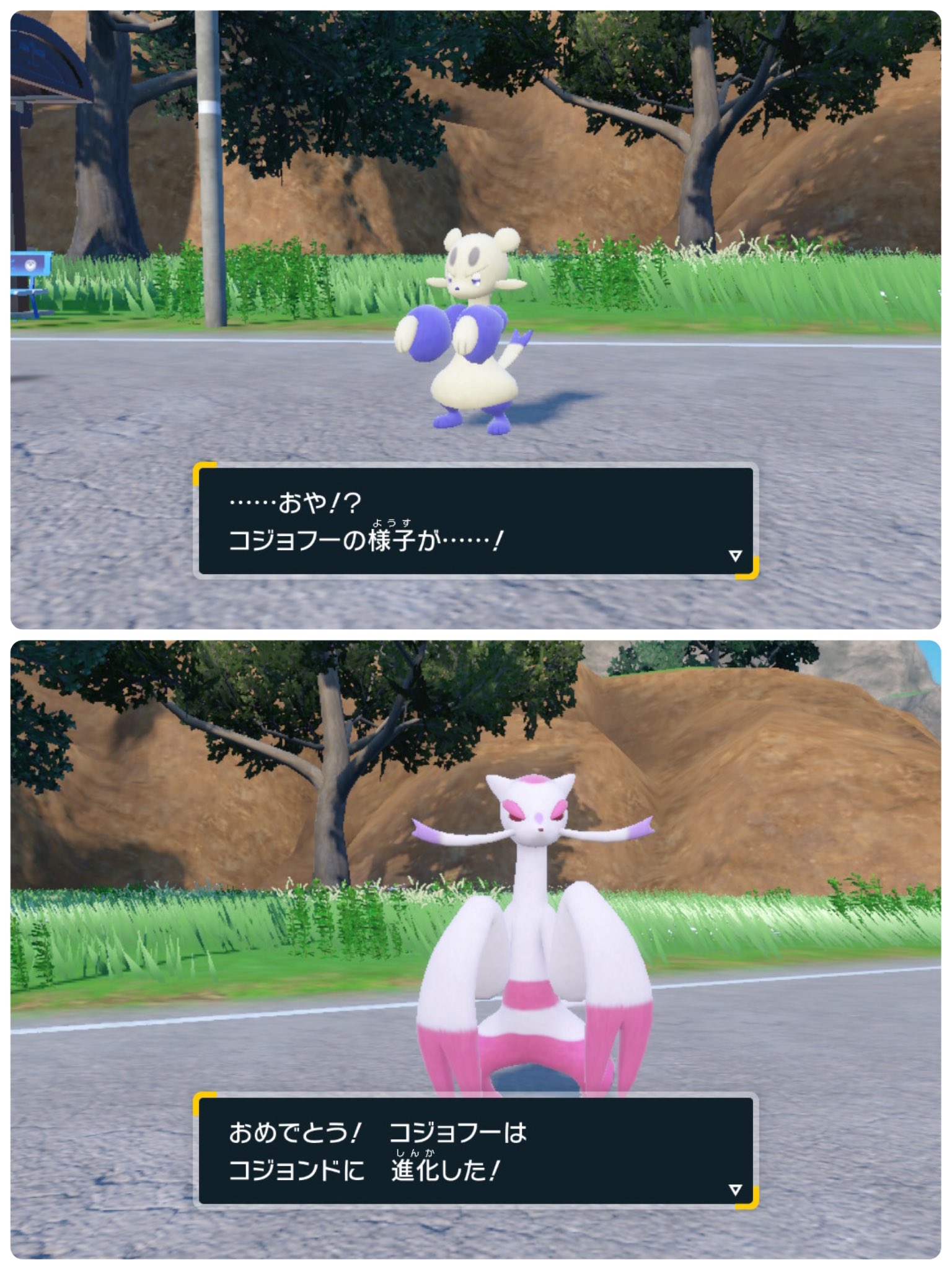 格安saleスタ えねこ@ゲーム垢🎮🎀 on X:  スポーツ