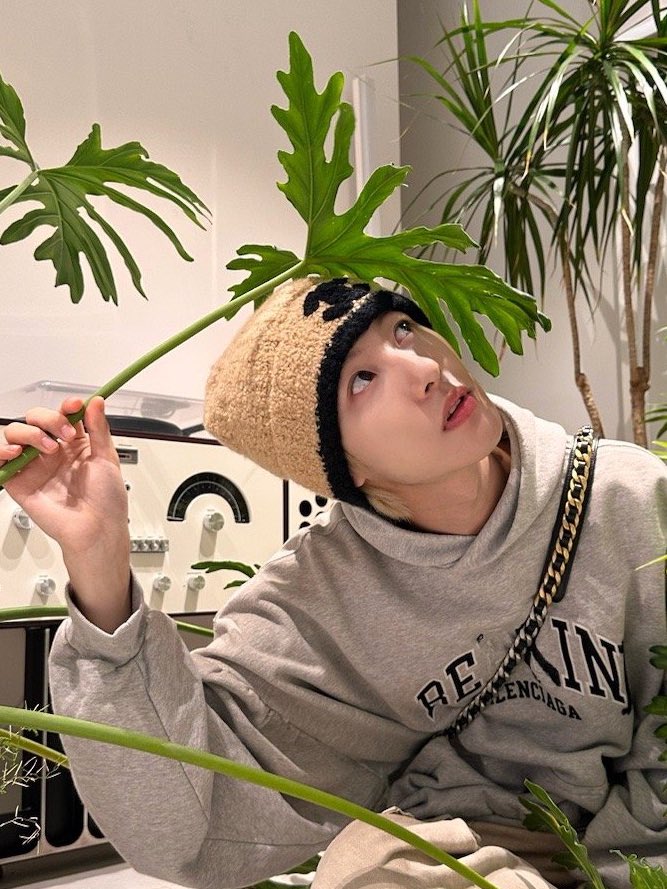 chourj323's tweet photo. 치코리타 런쥔 진화 과정 🌱🤍 https://t.co/bApbHTqx3u