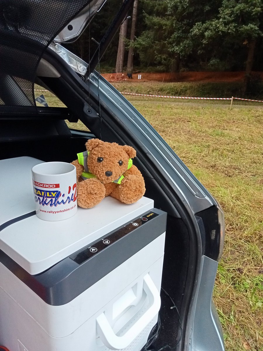Mr Huggles: 'Another day, another rally. This time it's #Trackrod in North Yorkshire. Anyway this coffee needs drinking #BearsWithJobs