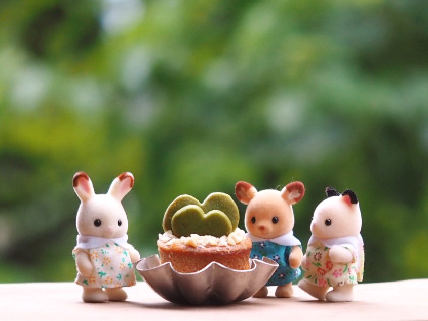 HANEmaru8's tweet photo. ⚘⠜
わーい∩︎(´∀︎`∩︎)
仲良しちゃんからもらったおやつ🌵
その名も❝ さぼてん ❞
可愛くて食べれないよꕀ
嬉しいなぁʚ💗ɞ ありがとう
#さぼてん #littleteeth
#マドレーヌ #おやつ
#シル活 #シルバニア
#シルバニアファミリー
#SylvanianFamilies https://t.co/9cUGYaxxaW