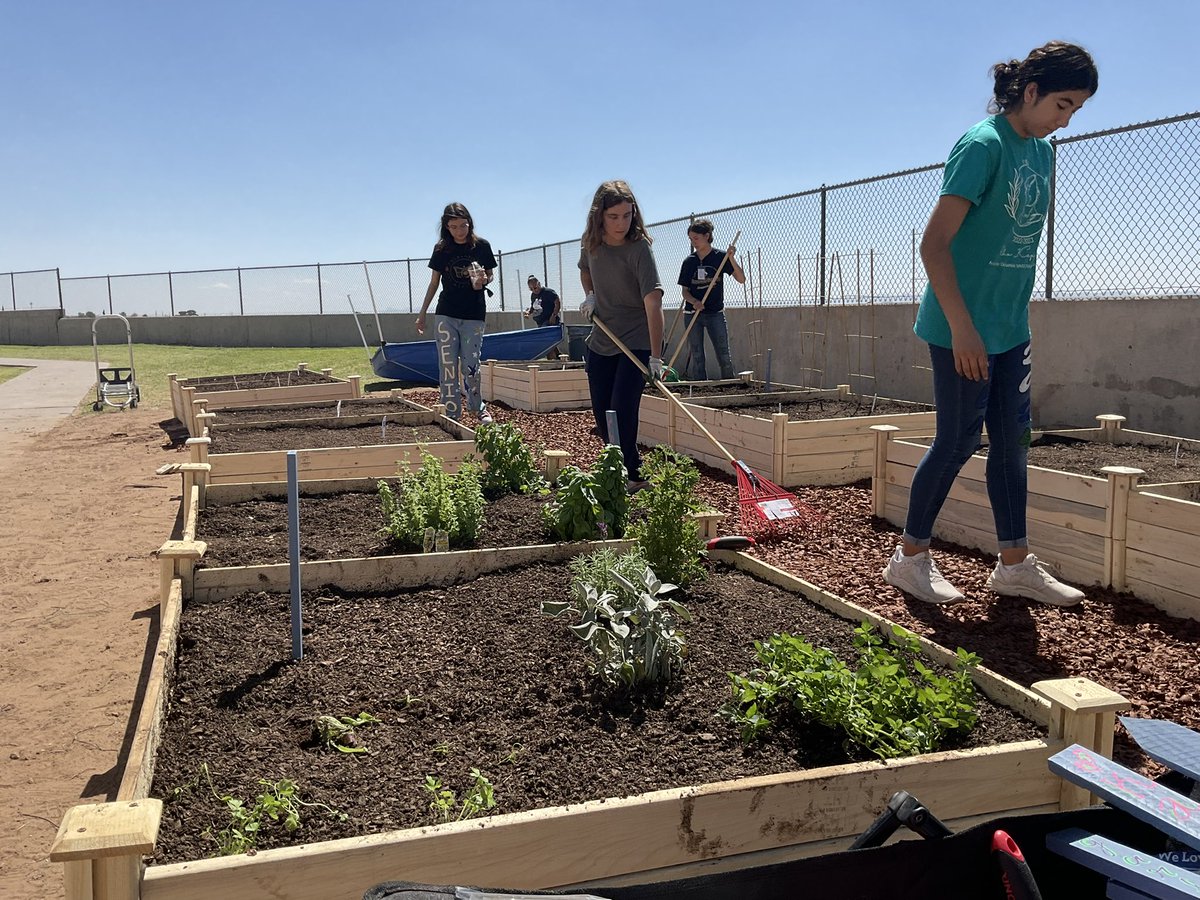 Ysleta_YWLA's tweet photo. Classroom lessons came to life today as our Transformers transformed our field into a beautiful school garden with team work🙌 🥕🥦 #ywprep @ywprep https://t.co/770k5nOD1l