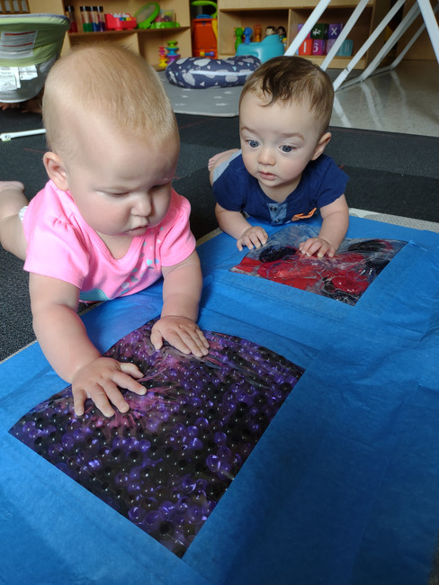 Kim Case tweet media