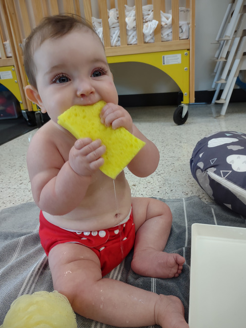 Kim Case tweet media