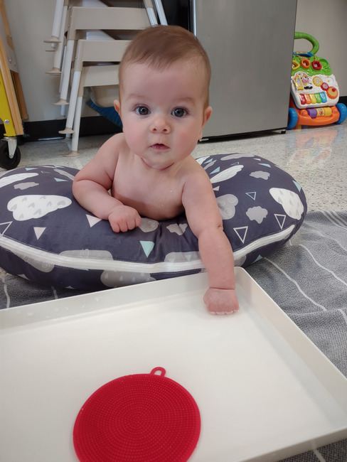 Kim Case tweet media