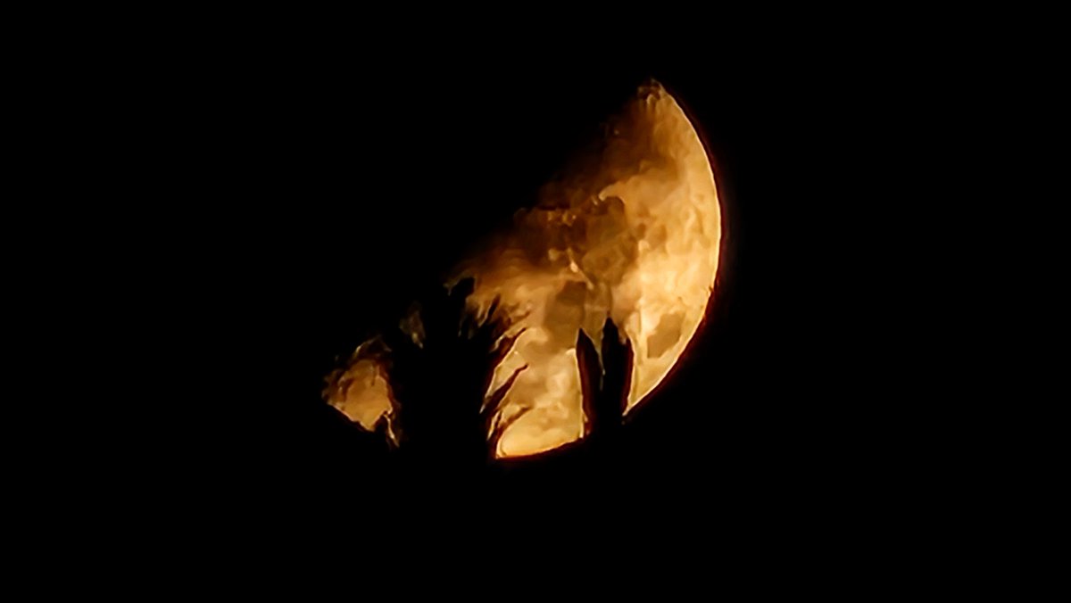 twinocox's tweet photo. Ala, buenas noches.
#madewithsamsung
#GalaxyS23Ultra https://t.co/OpOFNjMHX7
