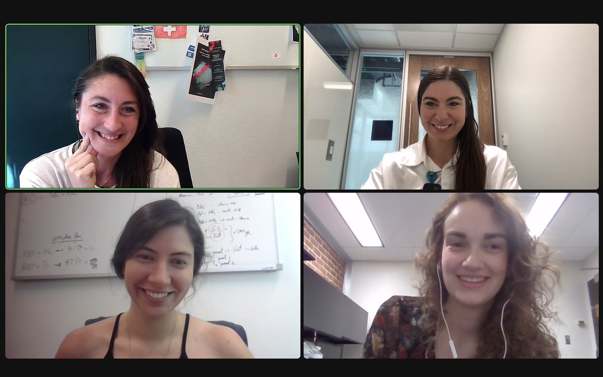 All smiles until it's crunch time to wrap up our MRS Hackathon project! 🚀⏰ Do deadlines really exist, or are they just a social construct? 😄 #WomenInSTEM  #TeamWork  @mr_spectroscopy @ISMRM_MRSHub  @PurdueHSCI @PurdueBME @CIBM_ch