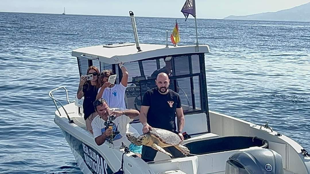 Suelta tortugas bobas en el Estrecho, gracias a la colaboración de Cecam y Ong Faunaverso!