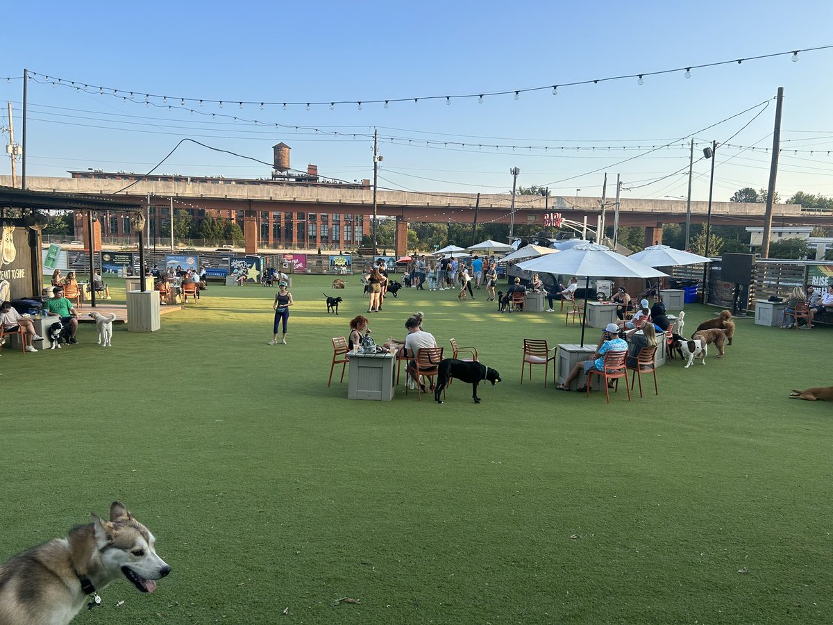 Can you have a version of this with mostly black people, in the United States? Im honestly just wondering because I’ve never seen it.