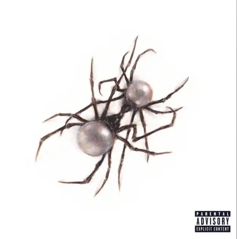 juniperberries0's tweet photo. can we talk about how every song on this damn album goes so hard 😭 https://t.co/pKHomCFtpN