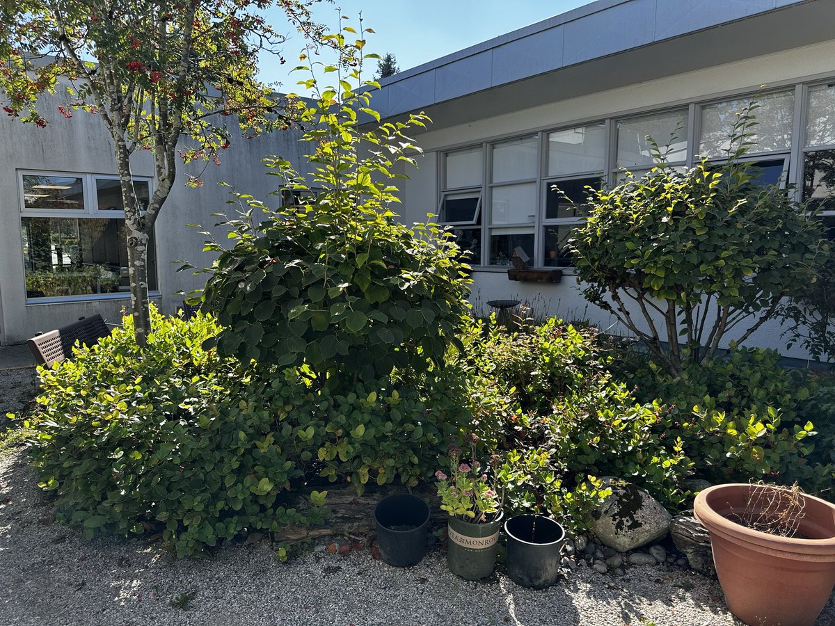 MrsNasio tweet media