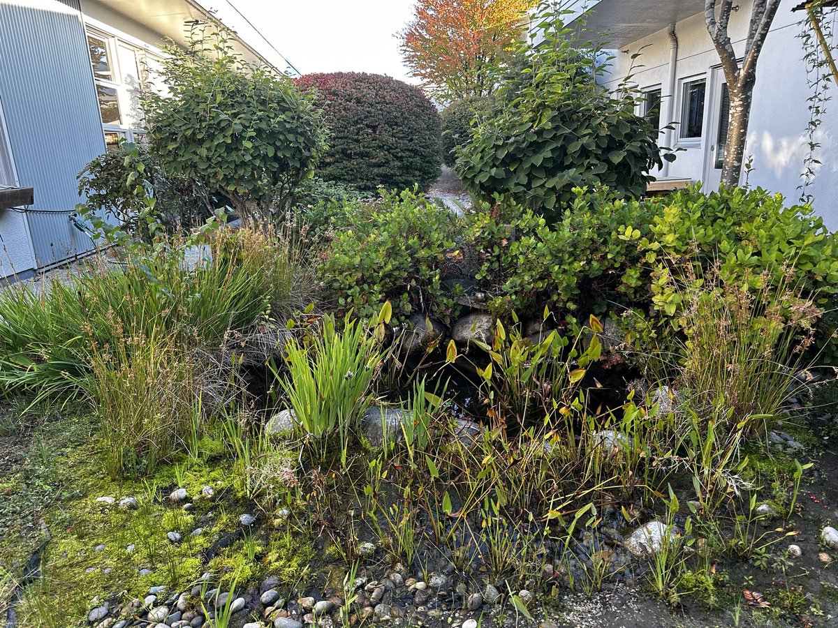 MrsNasio tweet media