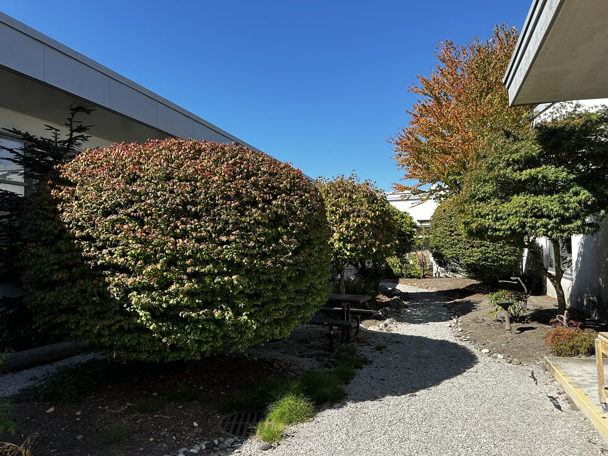 MrsNasio tweet media