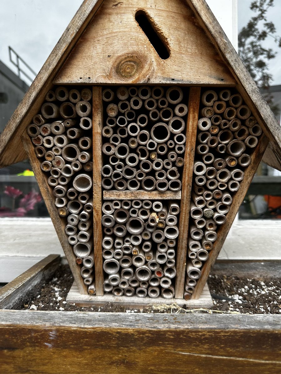 MrsNasio tweet media