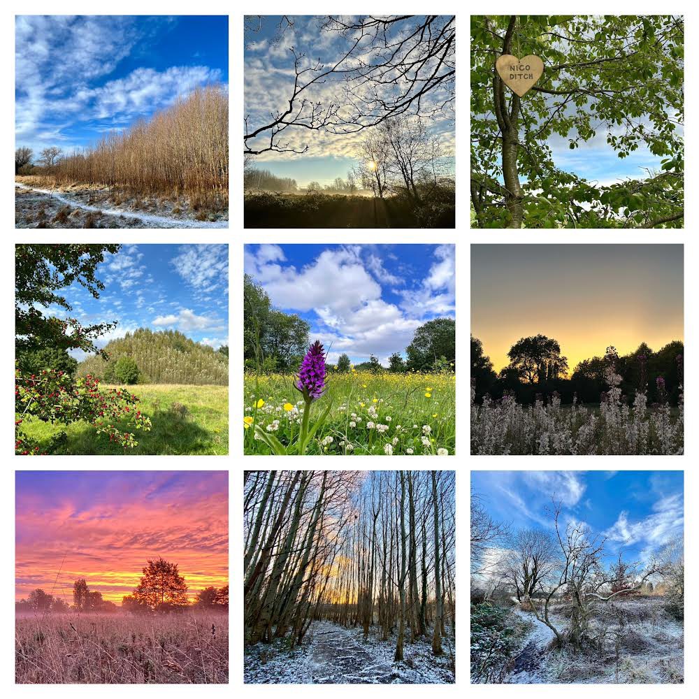 ✨Save Ryebank Fields Calendar 2024✨
By popular demand!! 🙌🏻
Beautiful photos of our much loved urban green space by <a href="/TherapyUpNorth/">Jay_Therapy Up North</a>
Proceeds to our campaign fund 
Pre-order now via our website, saveryebankfields.co.uk or IRL at <a href="/chorltondotcoop/">Chorlton Community Cooperative</a> Get Together this Sunday 12-4  💚