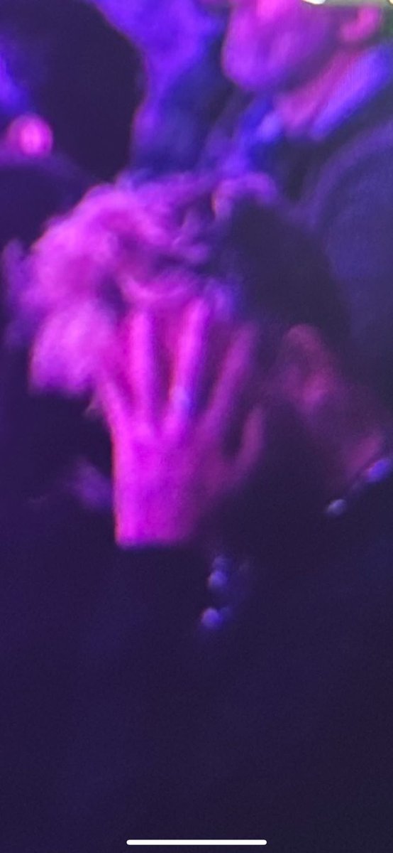 BEEN PURPLE AKI.