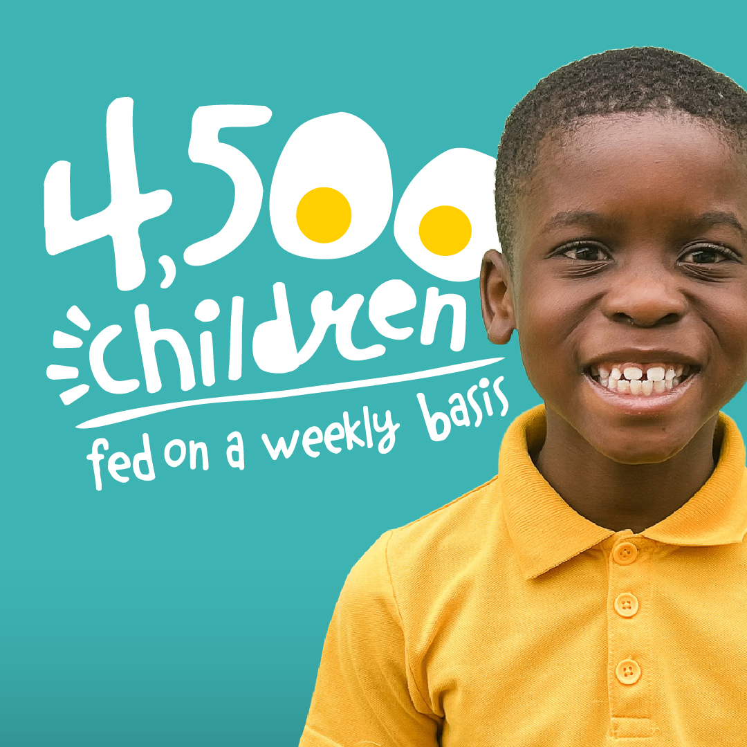 Every donation to the Egg Project supports egg farming in Eswatini, Africa—and gives kids the chance to have healthier, more vibrant lives. Join us in #CrackingHunger! tinyurl.com/2s393kuj