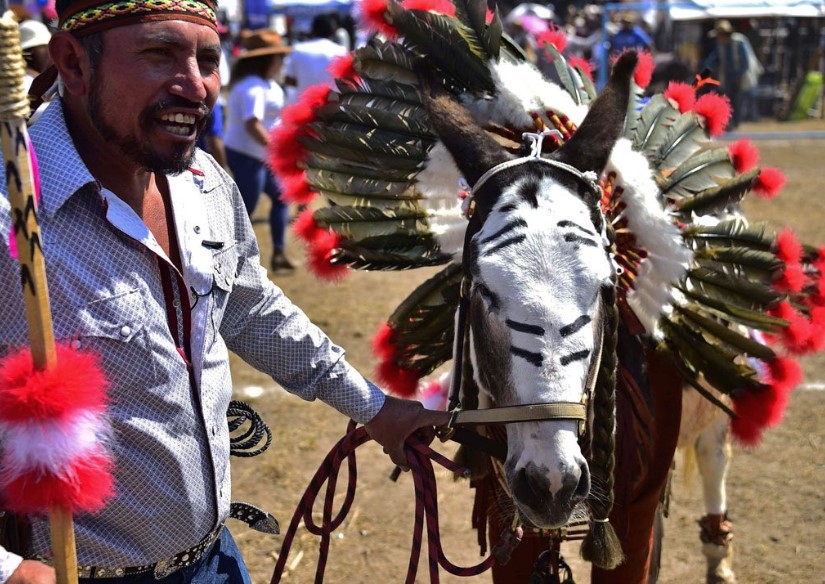 🪅🇲🇽#Otumba, #EstadoDeMéxico. Destaca por su tradicional Feria del Burro 🫏 y sitios que te conectarán con la historia y la cultura como el Acueducto del Padre Tembleque; recientemente nombrado #PuebloMágico, visítalo y vive una #ExperienciaEdoméx. ✨