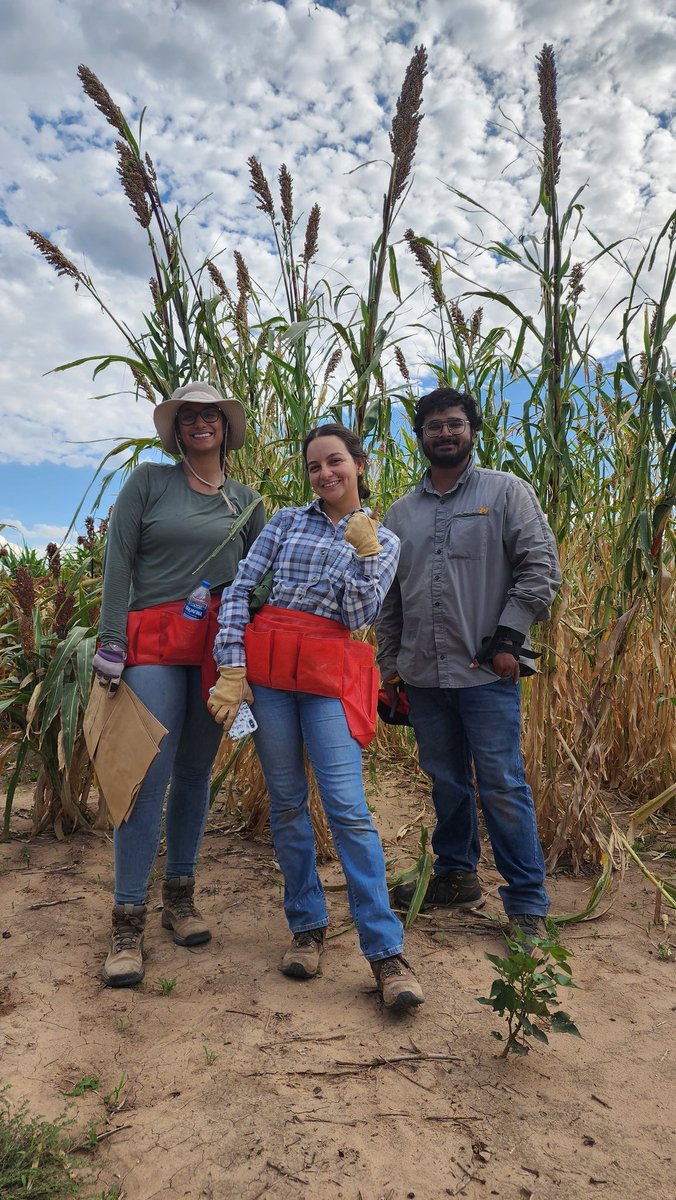 Saini DK tweet media