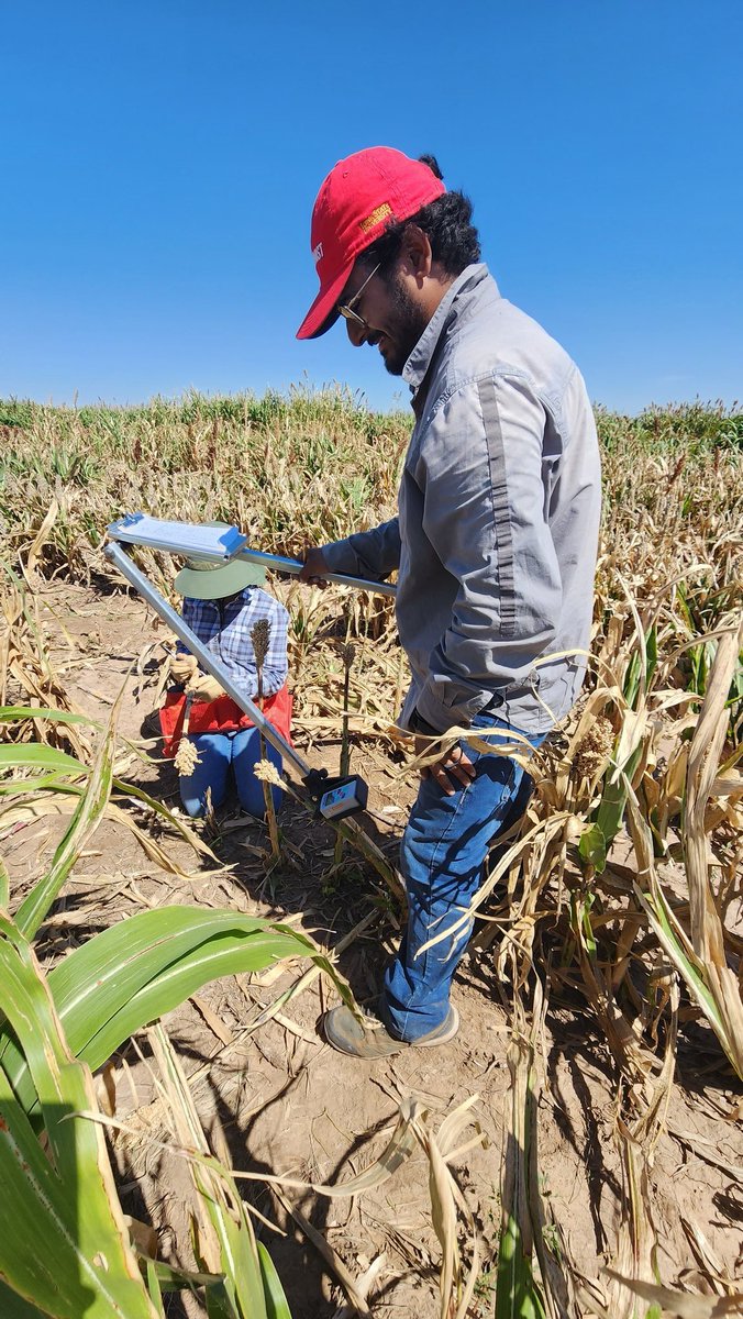 Saini DK tweet media