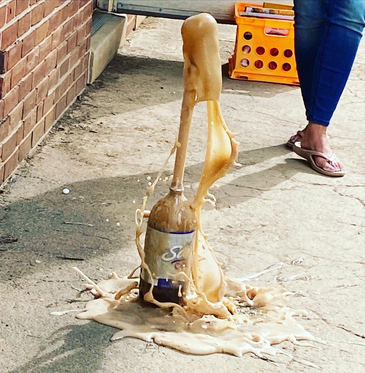 Carey Domena tweet media