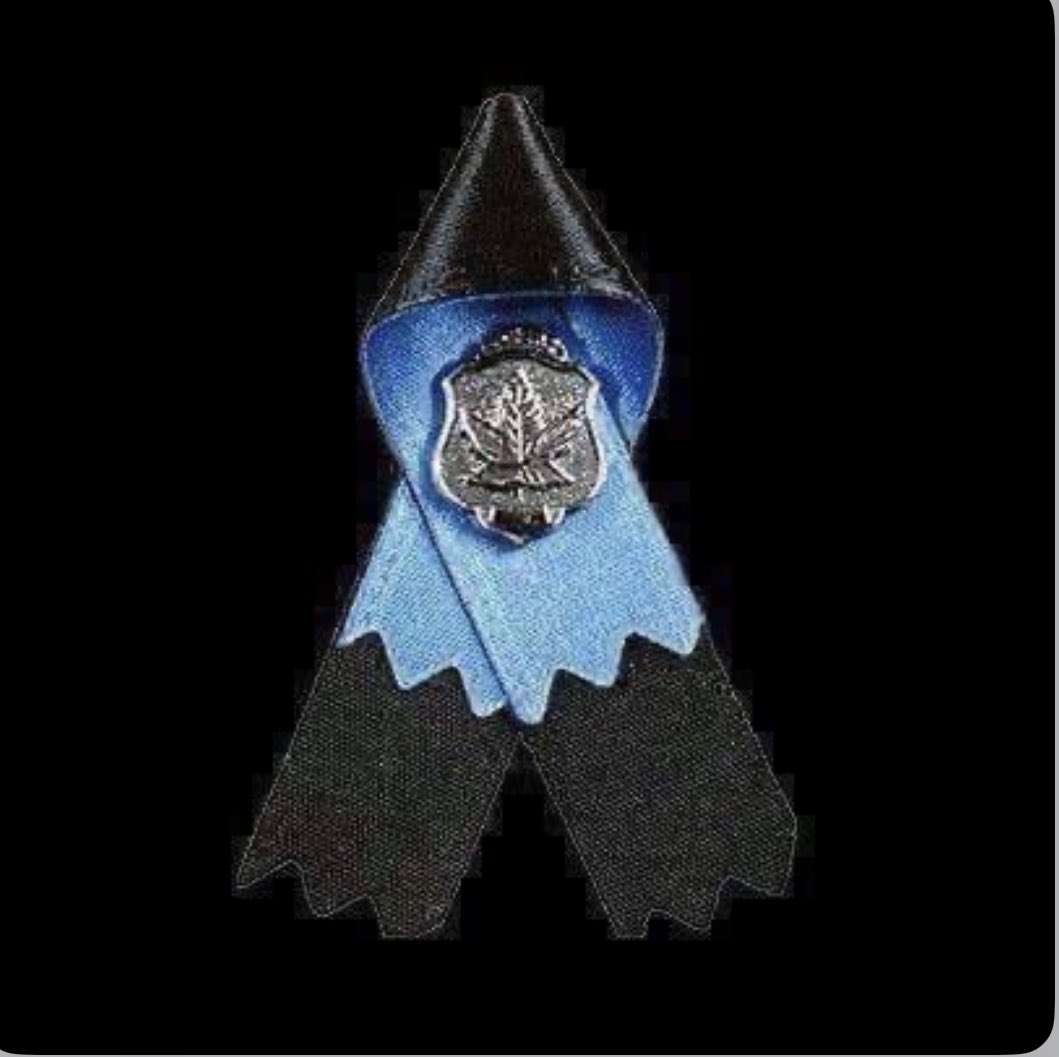 robr (@mapridgpugz) on Twitter photo 