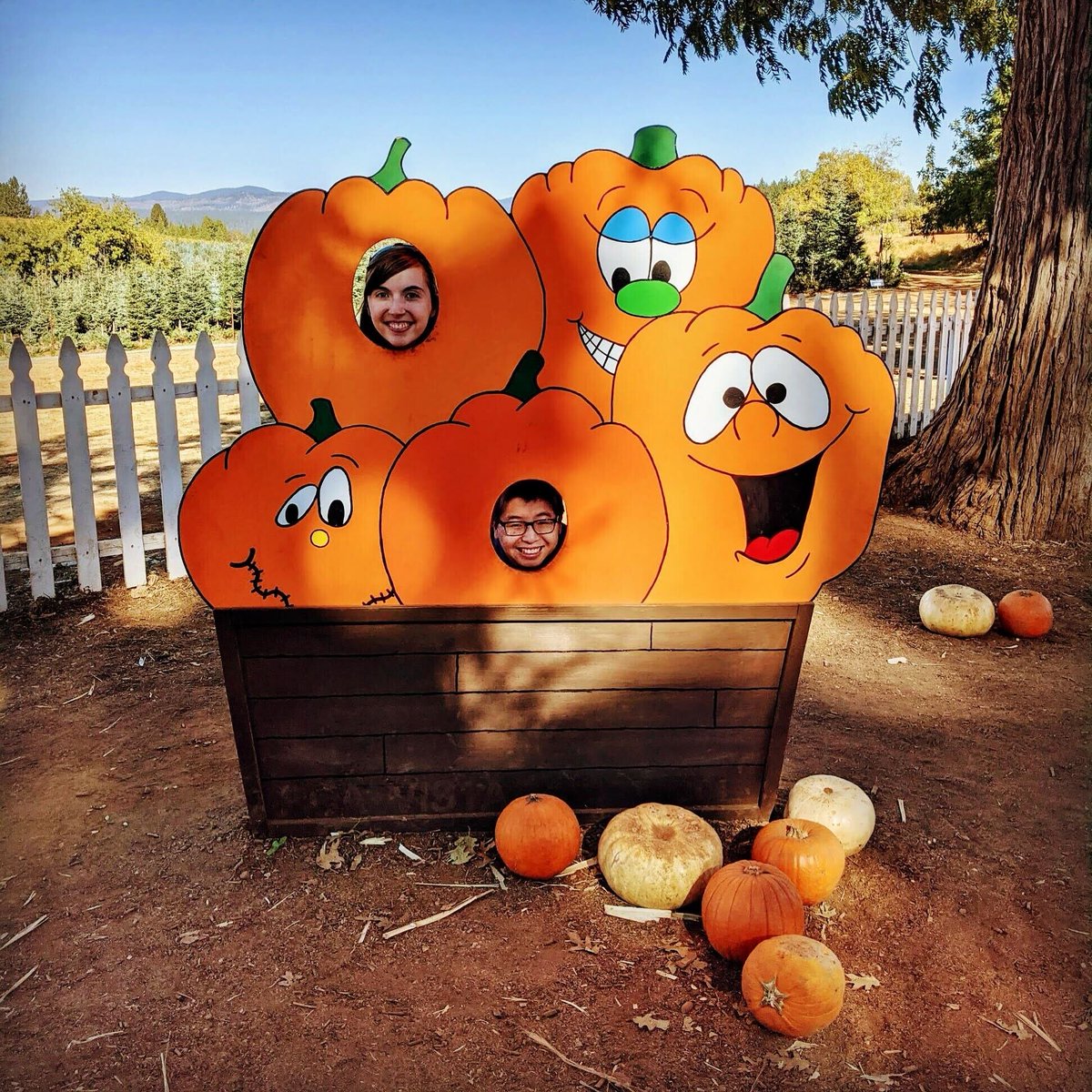 methodcom's tweet photo. As autumn approaches, weβre bidding farewell to summer π and are excited about pumpkin spice doughnuts, pumpkin patches, fall decorating, and spooky movies. What fall activities are you looking forward to?
#WelcomeFall #AutumnMagic #MethodTeam ππ§‘ https://t.co/bkK8x66bN3
