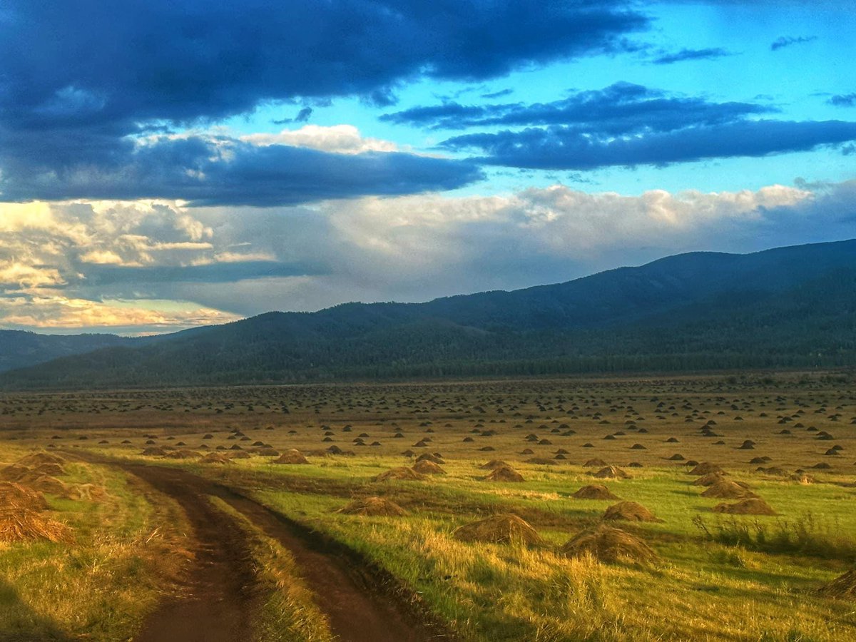 Өглөөний мэндээ