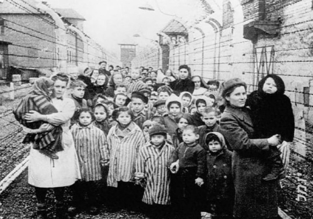 RelatocuriosoK's tweet photo. Campo de concentración nazi para niños.

Llamado "little Auschwitz", los niños tenían que trabajar duro durante 12 horas al día. Fueron
desnutridos, golpeados, torturados. Muchos de ellos murieron de dolor y agotamiento. Un pequeño número sobrevivió hasta el final de la guerra.

Los ocupantes alemanes decidieron crear algo así como un centro correccional o de aislamiento. En la práctica, se trataba de un campo de concentración donde los niños debían realizar un trabajo agotador y recibían escasas raciones de comida. Cada delito era castigado con palizas brutales o con métodos "correccionales" como ser rociados con agua y obligados a permanecer de pie en un lugar helado o realizar ejercicio extenuante.

Los "tutores" se preocuparon por la moral de sus pequeños esclavos animándolos a informarse unos a otros e introduciendo una disciplina absurda y cruel. En teoría, el campamento infantil de la calle Przemysłowa de Łódź estaba destinado a niños de entre 6 y 16 años, pero el recluso más joven solo tenía 2 años. Cuando los internos cumplieron los 16 años, fueron trasladados a campos de concentración "regulares". Algunos de los niños más pequeños fueron adoptados por familias alemanas.