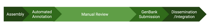 tair_news's tweet image. A. thaliana reference genome reannotation: The amazing team of volunteers is approaching the end of the  manual review phase. Curious about what's happening and what's coming? Updates are regularly posted here: tinyurl.com/Athalianav12 #communityeffort #Arabidopsisv12 #Arabidopsis