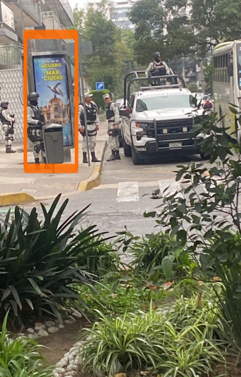 Lomas Virreyes tweet media