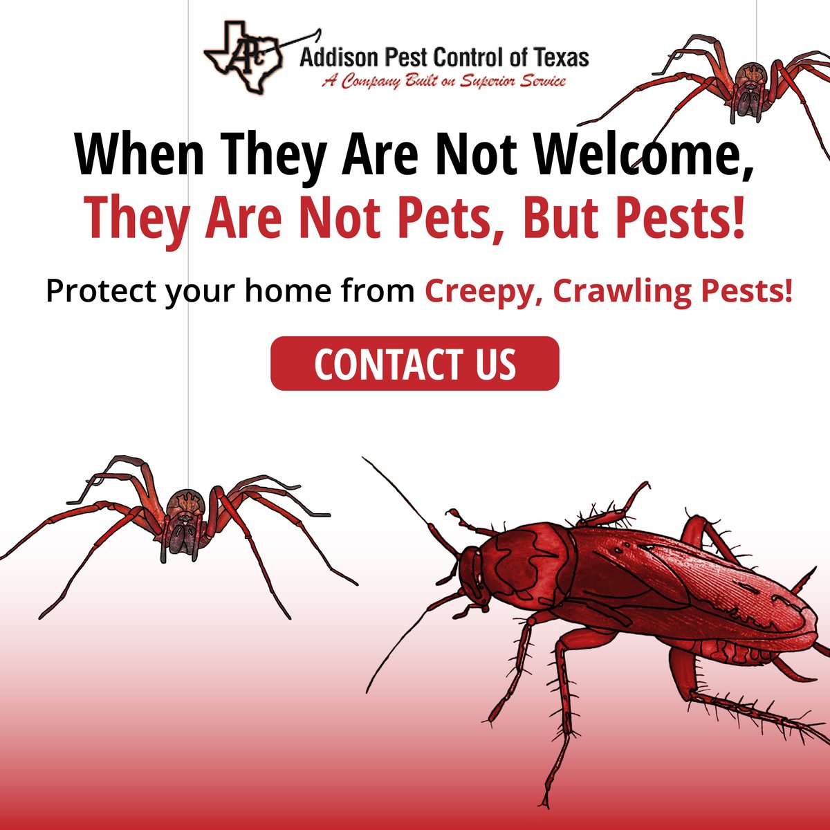 AddisonPest's tweet image. Pets are cute and cuddly, pests are not! If you have unwanted visitors in or around your home, call us today! APC works hard to stop the invasions of pests like spiders, roaches, and more! Schedule an appointment online or call us at 972-233-4766. #northtexas #pestcontrollife