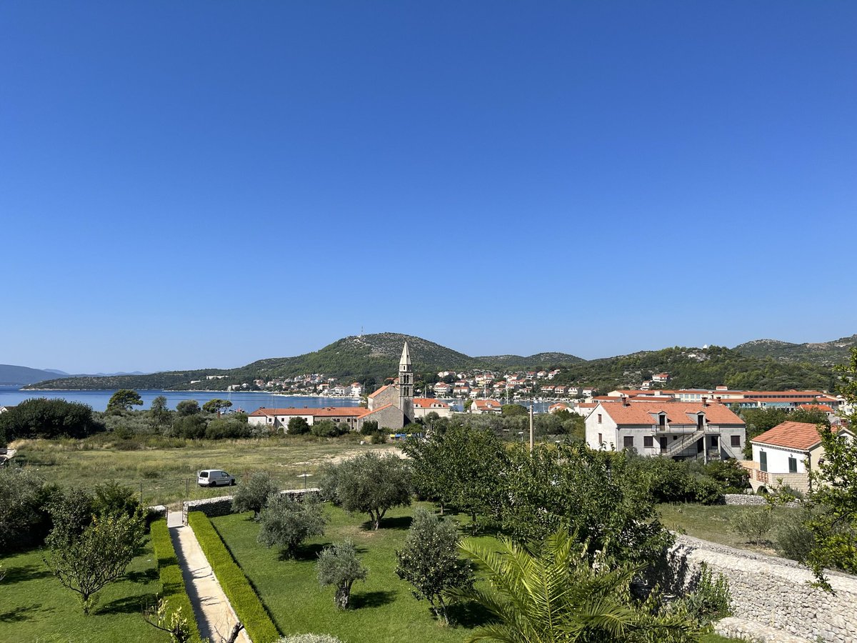 Mister_Lloyd_29's tweet image. Just a hint #beechat