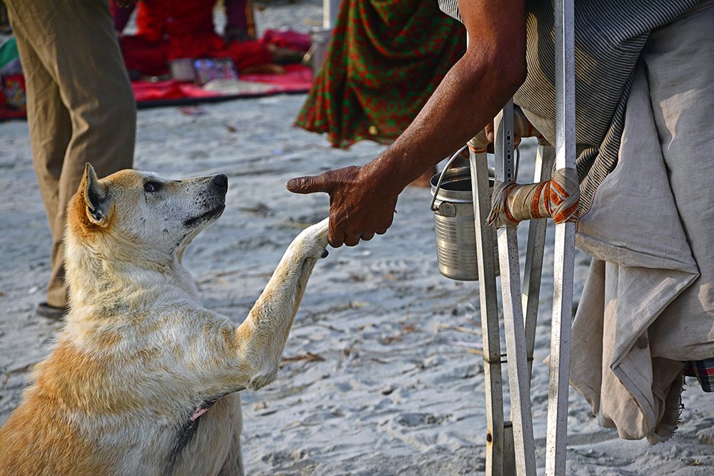 Gm fam 🔆

A good friendship has no conditions....

Happy weekend 🎉