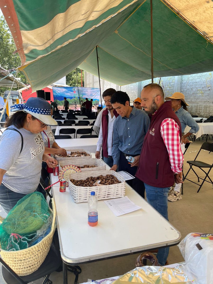 AgriculturaHgo's tweet photo. Se llevó a cabo con éxito la 4ta feria de la nuez en #Metztitlan, donde participaron productores de la región; espacio donde la gente trabajadora del campo, comercializa sus productos.
Agradecemos al equipo de trabajo, por el acompañamiento a los productores.
#PrimeroElCampo https://t.co/oFCDuIiEd4