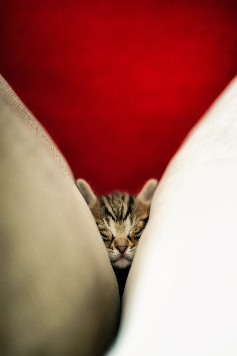 MelihERSAHiN tweet media