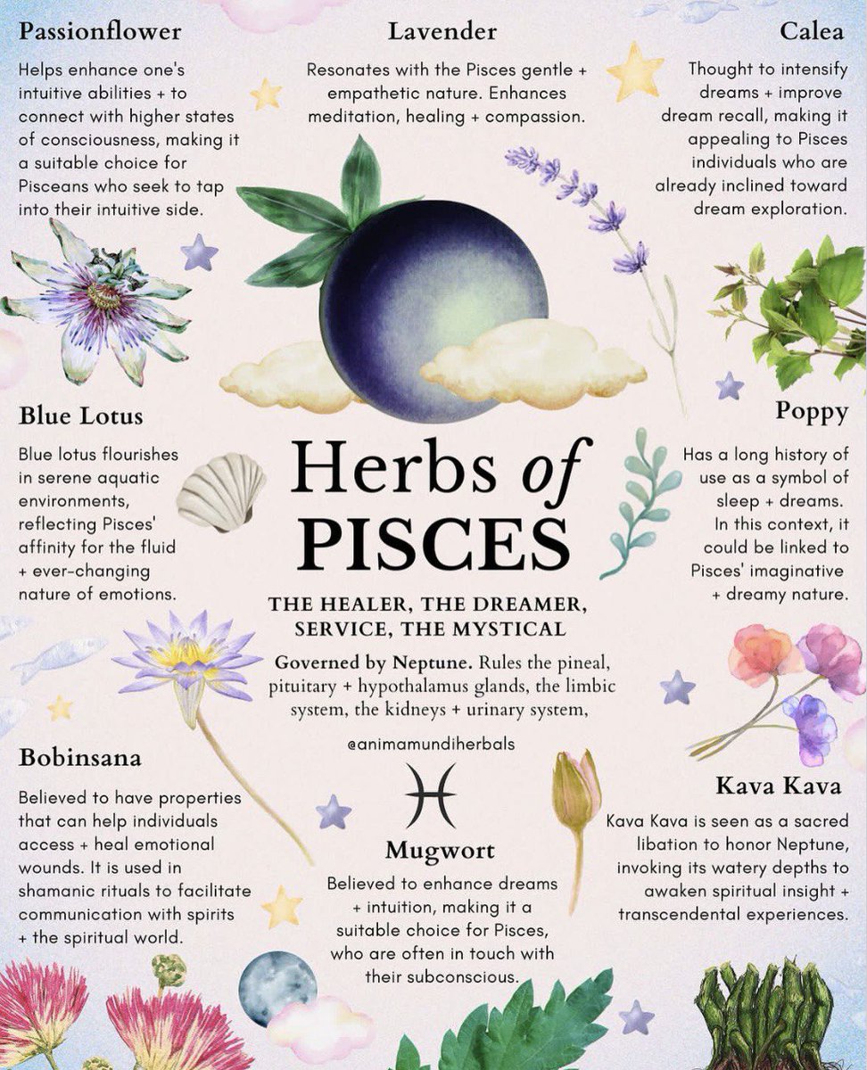 Healing Herbs 🌿 organiclivefood.com/nutrition/bene…