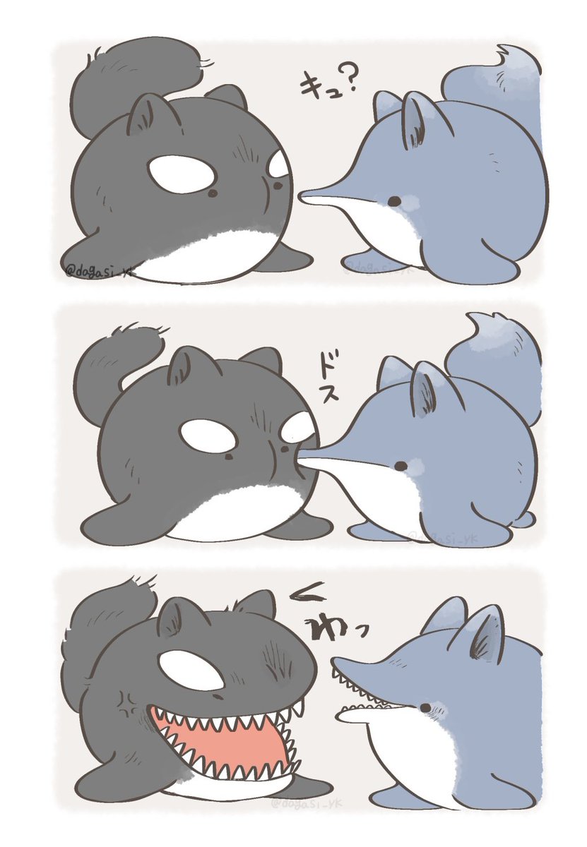 ミニキメラ しゃちたぬき(1/2) 