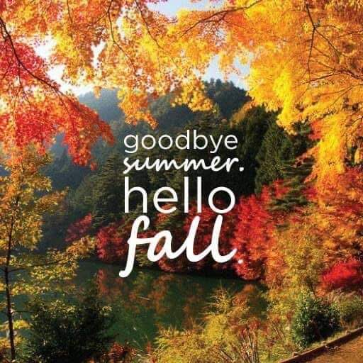 🍂🎃☠️ It is officially FALL ~ AUTUMN 🕯🕷🕸

#FirstDayOfFall #Fall #FallSeason #Fall2023 #Autumn2023 #Autumn #LeavesChanging #Magical #Colorful #Seasons #SeasonsChanging