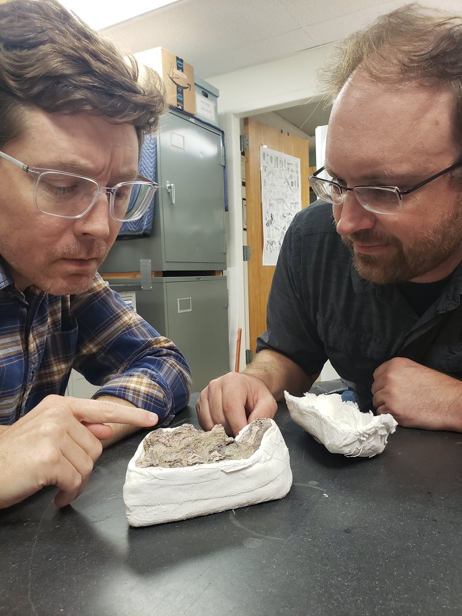 NHMU's tweet photo. NHMU Curator Randy Irmis is visiting his colleague Dr. Adam Huttenlocker for #FossilFriday in LA @uscpaleosci to work on an @NSF funded collaborative project! Yesterday they CT-scanned @USCMIC a 300 million-year-old skull related to the common ancestor of mammals and reptiles. 🦖 https://t.co/GL1adEmuI9